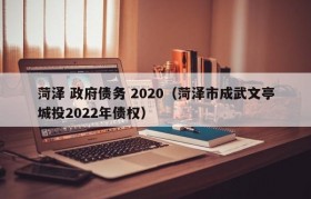 菏泽 政府债务 2020（菏泽市成武文亭城投2022年债权）